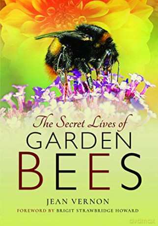 The Secret Lives of Garden Bees - Jean Vernon [KSIĄŻKA]