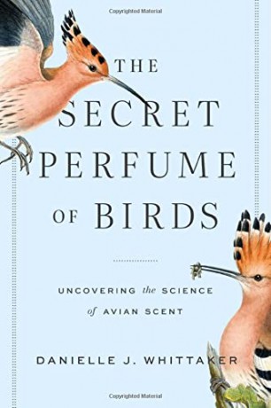 The Secret Perfume of Birds: Uncovering the Science of Avian Scent - Whittaker [KSIĄŻKA]