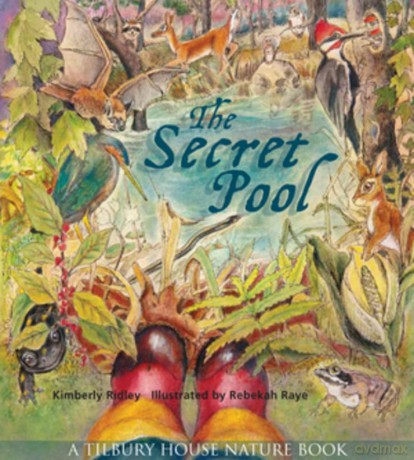 The Secret Pool: 0 (Tilbury House Nature Book) - Kimberly Ridley [KSIĄŻKA]
