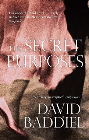 The Secret Purposes - David Baddiel [KSIĄŻKA]