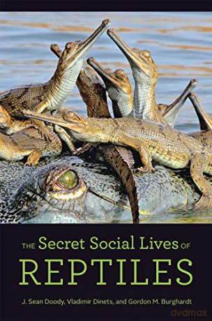The Secret Social Lives of Reptiles - J. Sean Doody [KSIĄŻKA]