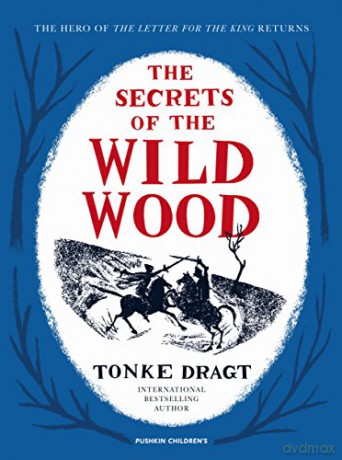 The Secrets of the Wild Wood - Tonke Dragt [KSIĄŻKA]