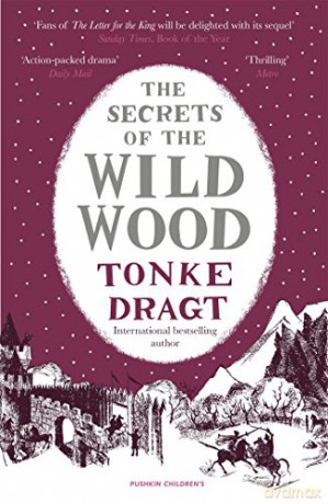 The Secrets of the Wild Wood (Winter Edition) - Tonke Dragt [KSIĄŻKA]