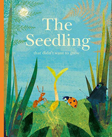 The Seedling That Didn't Want to Grow: Britta Teckentrup - Britta Teckentrup [KSIĄŻKA]