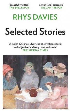 The Selected Stories of Rhys Davies - Rhys Davies [KSIĄŻKA]