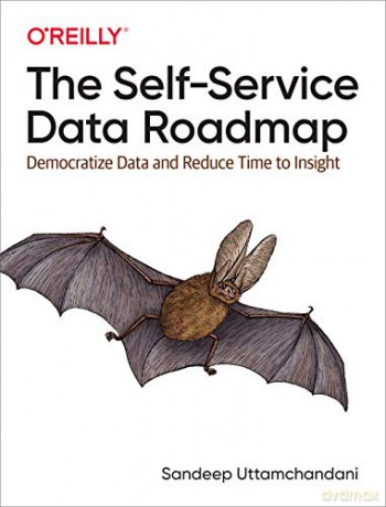 The Self-Service Data Roadmap: Democratize Data and Reduce Time to Insight - Sandeep Uttamchandani [KSIĄŻKA]