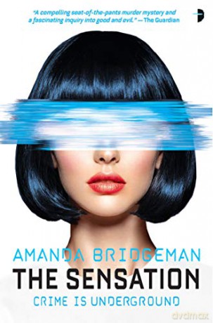The Sensation: Salvation Series, Book II (Salvi Brentt): The Salvation Series, Book II - Amanda Bridgeman [KSIĄŻKA]