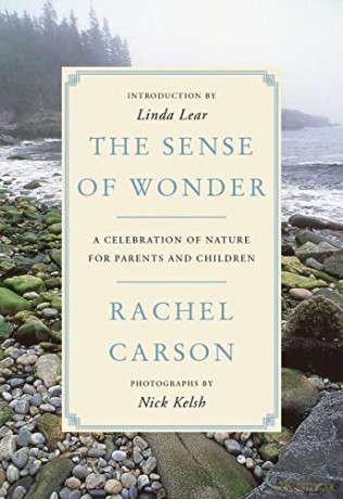 The Sense of Wonder: A Celebration of Nature for Parents and Children - Rachel Carson [KSIĄŻKA]