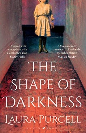 The Shape of Darkness: 'A future gothic classic' Martyn Waites - Laura Purcell [KSIĄŻKA]