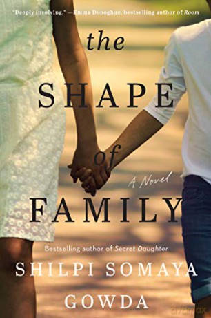 The Shape of Family: A Novel - Shilpi Somaya Gowda [KSIĄŻKA]