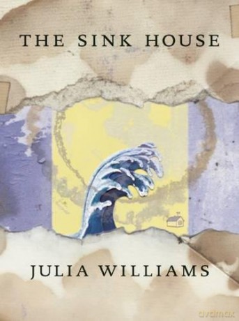 The Sink House - Julia Williams [KSIĄŻKA]