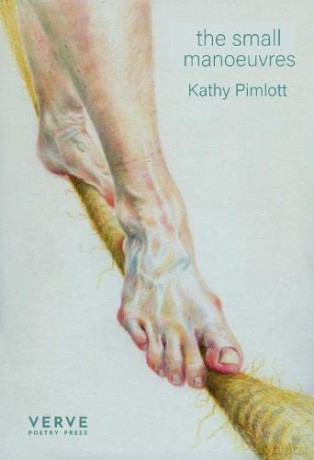 the small manoeuvres - Kathy Pimlott [KSIĄŻKA]