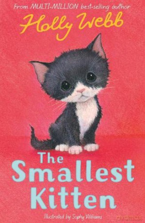 The Smallest Kitten: 53 (Holly Webb Animal Stories, 53) - Holly Webb [KSIĄŻKA]