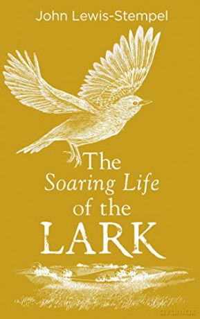 The Soaring Life of the Lark - John Lewis-Stempel [KSIĄŻKA]