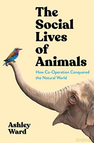 The Social Lives of Animals: How Co-Operation Conquered the Natural World - Ashley Ward [KSIĄŻKA]