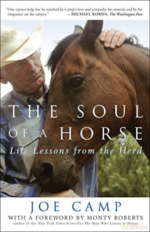 The Soul of a Horse: Life Lessons from the Herd - Joe Camp [KSIĄŻKA]