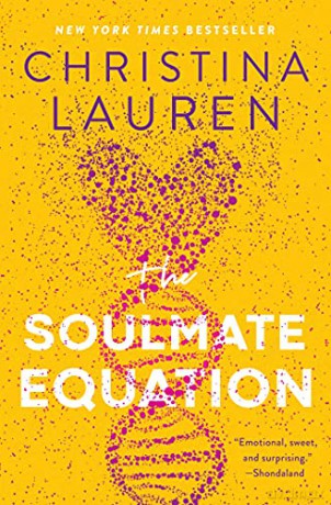 The Soulmate Equation [KSIĄŻKA]