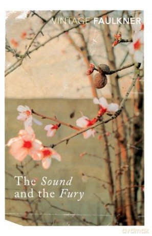The Sound and the Fury (Vintage classics) - William Faulkner [KSIĄŻKA]