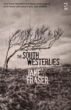 The South Westerlies - Jane Fraser [KSIĄŻKA]