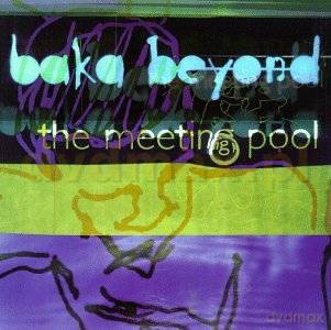 Baka Beyond: The Meeting Pool [CD]