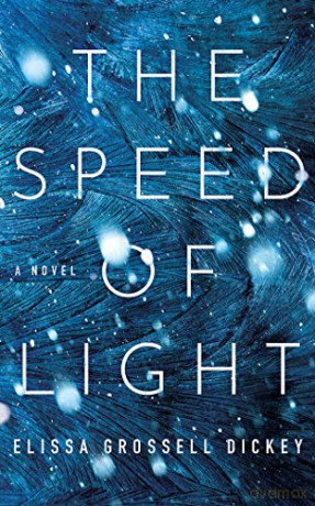 The Speed of Light: A Novel - Elissa Grossell Dickey [KSIĄŻKA]