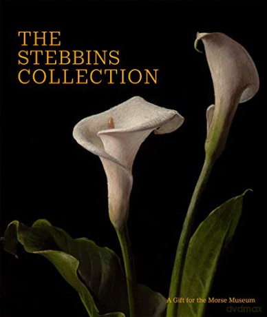 The Stebbins Collection: A Gift for the Morse Museum - Regina Palm [KSIĄŻKA]