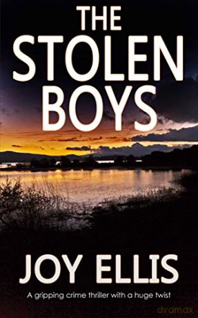 The Stolen Boys - Joy Ellis [KSIĄŻKA]