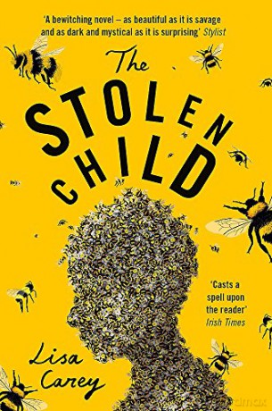 The Stolen Child: Lisa Carey - Lisa Carey [KSIĄŻKA]