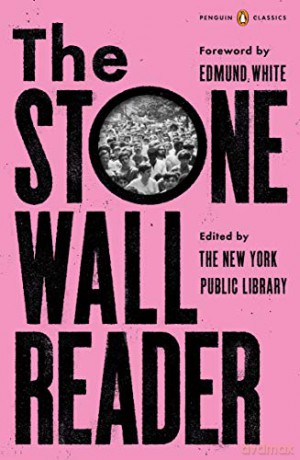 The Stonewall Reader - Jason Baumann [KSIĄŻKA]