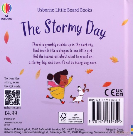 The Stormy Day (Little Board Books): 1 - Anna Milbourne [KSIĄŻKA]