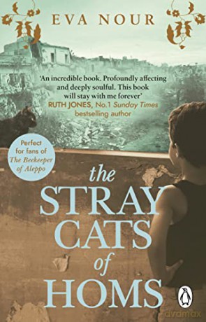 The Stray Cats of Homs: A powerful, moving novel inspired by a true story - Eva Nour [KSIĄŻKA]