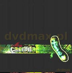 Candida: Meta [CD]