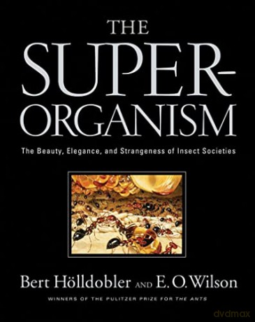 The Superorganism: The Beauty, Elegance, and Strangeness of Insect Societies - B Holldobler [KSIĄŻKA]