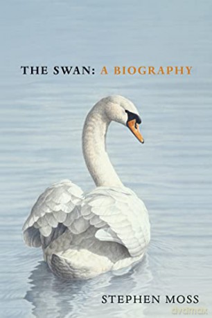 The Swan: A Biography - The must-have gift for bird lovers this Christmas - Stephen Moss [KSIĄŻKA]
