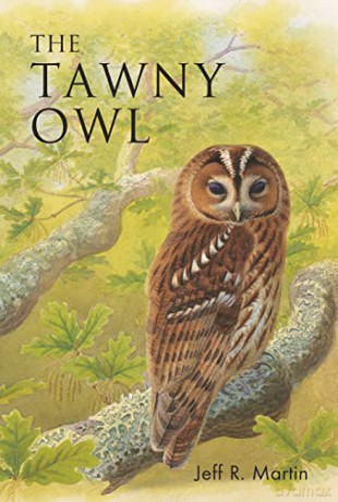 The Tawny Owl (Poyser Monographs) - Jeff Martin [KSIĄŻKA]