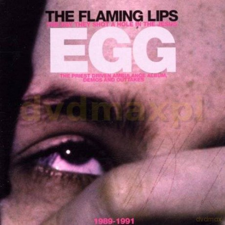 The Flaming Lips: Day They Shot A Hole In The Je [2CD]