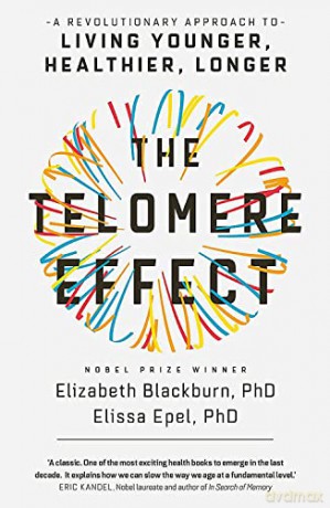 The Telomere Effect: A Revolutionary Approach to Living Younger, Healthier, Longer - Dr Elizabeth Blackburn [KSIĄŻKA]