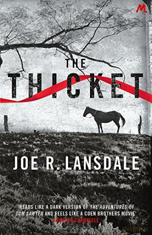 The Thicket - Joe R. Lansdale [KSIĄŻKA]
