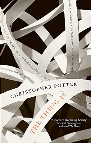 The Thing Is - Christopher Potter [KSIĄŻKA]