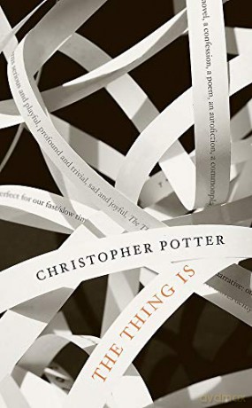 The Thing Is - Christopher Potter [KSIĄŻKA]
