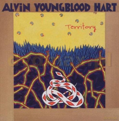 Alvin Youngblood Hart: Territory [CD]