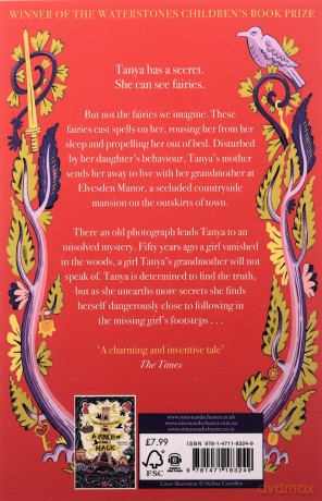 The Thirteen Treasures (Volume 1) (13 Treasures) - Michelle Harrison [KSIĄŻKA]