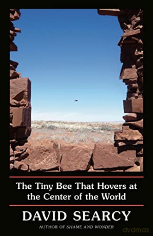 The Tiny Bee That Hovers at the Center of the World - David Searcy [KSIĄŻKA]