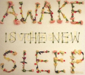 Ben Lee: Awake Is The New Sleep (digipack) [CD]