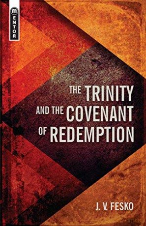 The Trinity And the Covenant of Redemption (Divine Covenants) - J. V. Fesko [KSIĄŻKA]