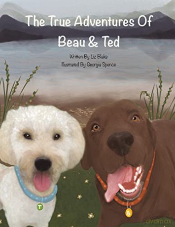 The True Adventures of Beau and Ted - Liz Blake [KSIĄŻKA]