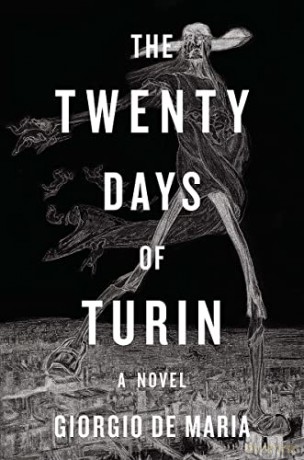 The Twenty Days of Turin: A Novel - Giorgio De Maria [KSIĄŻKA]