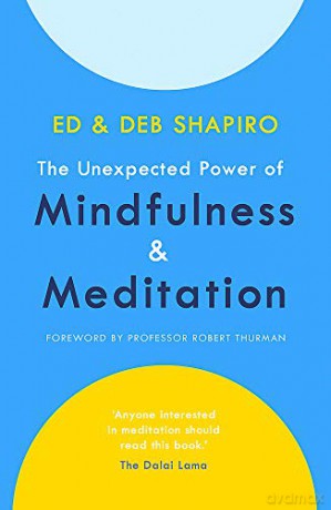 The Unexpected Power of Mindfulness and Meditation - Ed Shapiro [KSIĄŻKA]