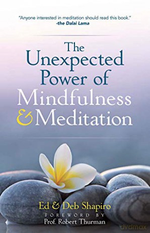 The Unexpected Power of Mindfulness and Meditation [KSIĄŻKA]