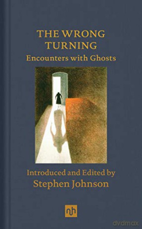 The Wrong Turning: Encounters with Ghosts - Stephen Johnson [KSIĄŻKA]